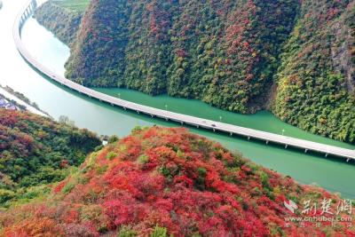 层林尽染漫山红 “水上公路”入画来