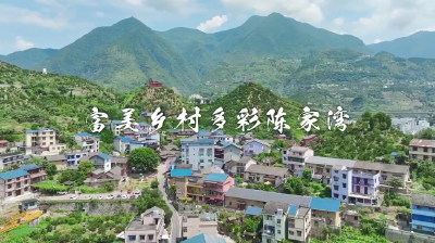 美丽乡村我代言——陈家湾村