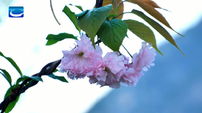 春暖花开邂逅和美兴山 