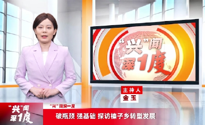 【“兴”闻深一度】第十三期 破瓶颈 强基础 探访榛子乡转型发展