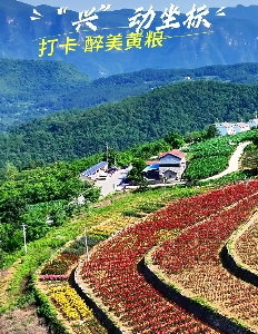  “兴”动坐标，打卡醉美黄粮——打卡百合花海，实现车厘子自由。醉美黄粮，是田园牧歌里的诗与远方。