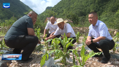 科学高效应对灾情 确保人民群众生产生活平稳有序