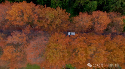 沿途全是惊喜！利川G318国道70公里 “美颜” 升级