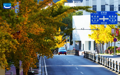  兴山初冬限定美好！暖阳+清晨，惬意到不想走