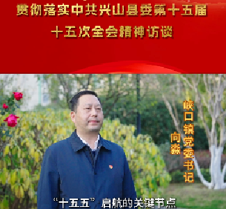 【兴山8个乡镇党委书记集中发声】峡口镇：放大优势 勇当先锋 为兴山高质量发展贡献峡口力量