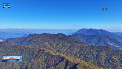 森林防火要注意 这些知识请牢记