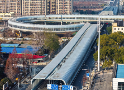 枝叶关情处，城市暖意生——笑脸在热气腾腾的日常里绽放