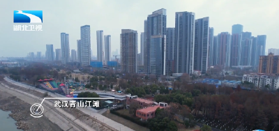 推动长江经济带发展座谈会十周年 | 十年守护 长江蝶变