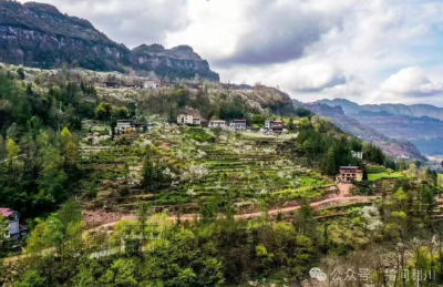 打卡“千亩李花雪”，遇见利川最美的春天→