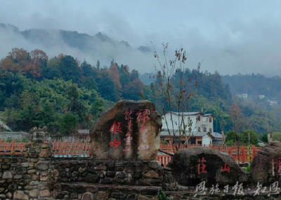 茶山上的亲戚们