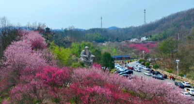 谷城老君山：一朵樱花“链”起乡村致富路