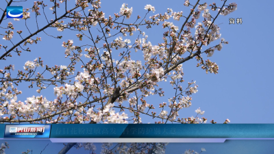 春日花粉过敏高发 科学防护别大意