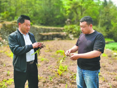 “一叶轻舟”万重山