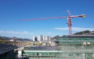 武陵春早茶事忙