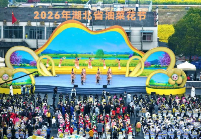 湖北油菜花节开幕 80万亩金色花海迎客来