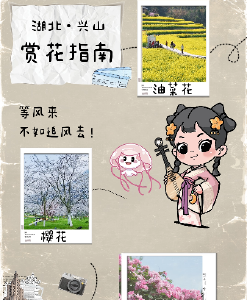 湖北·兴山  赏花指南