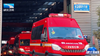 相约春天赏樱花 | 外贸“黄金开局期” 湖北企业加速出海