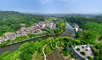 “空心村”缘何成为返乡创业特色街区