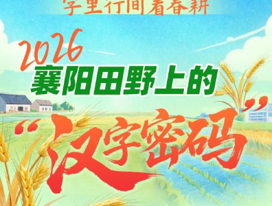 省委一号文件落地襄阳，在田野上“长”出了八个汉字
