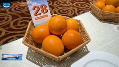 兴山伦晚在全省脐橙鉴评中获奖