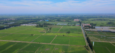 从“补丁地”到“千亩方”，湖北孝南这片土地何以重生？