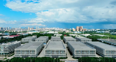 “追”了四年，“宠”出一个产业集群