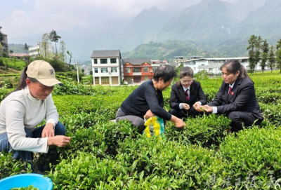 大山深处的“三道茶”——鹤峰县铁炉人民法庭矛盾纠纷化解民族特色实践