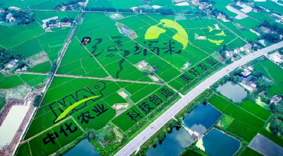 “物语”三重问春安
——枝江问安镇一粒米、一滴水、一朵花的振兴启示录