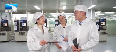 权威发布 | 加大要素支持力度 湖北出台新规护航民营经济