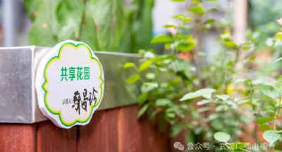 从10000到550：一块光伏板背后的政绩观之变