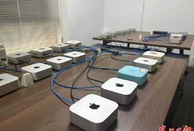 这家公司专门帮你“养虾”，未来还将代你上班