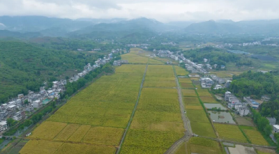 一杯茶里“叙”出的和谐曲——通城县塘湖镇龙印村“舒心角”里的乡村治理故事