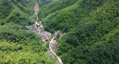 撤得快、安顿好、管得细——赤壁市茶庵岭镇中心坪村避险转移见闻