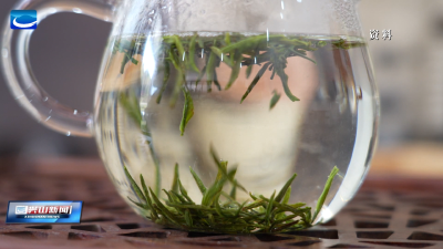 我县首个出口茶叶原料种植基地成功获批
