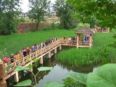 视频|绿林山景区：加大向武汉旅游市场推介力度