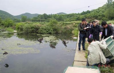 荆门：查获千余只野生动物放归自然