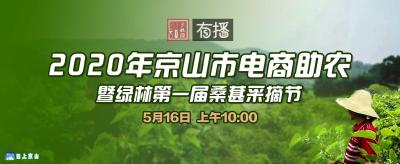 直播预告|2020年京山市电商助农暨绿林第一届桑葚采摘节