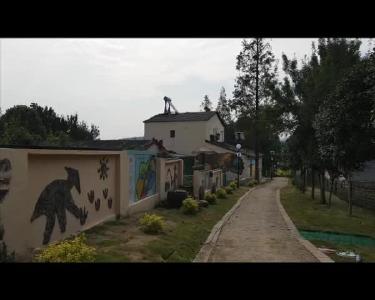 航拍|田音村：“醉”美鱼米乡