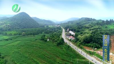 #湖北全球秀#【京山杨集·三口堰 一庭月旅游驿站】