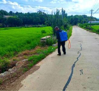 京山市新市街道洪泉村：清除路边杂草 美化路域环境