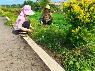 京山市新市街道白谷洞村：环境整治不松懈