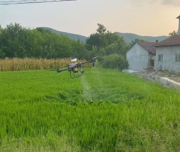 京山市新市街道：无人机“飞防”作业保丰收