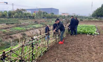 京山市新市街道八里途社区：冒雨齐行动 共筑整洁城