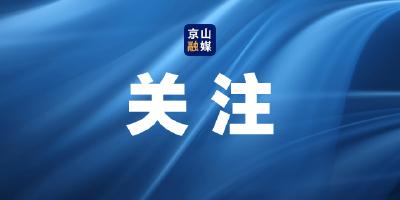 荆门市委副书记、市长陈家伟来京山调研 