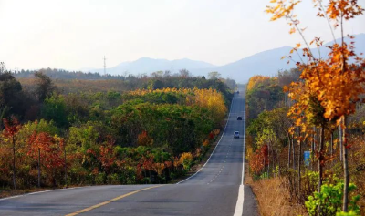 秋景“大片”来袭！湖北京山这些地方美得一塌糊涂