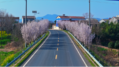 京山市农村公路养护管理工作获佳绩 
