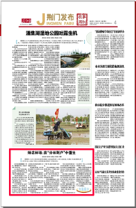 帅店林场：在“分林到户”中重生 