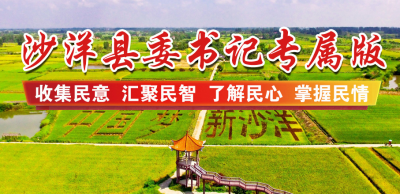 沙洋县委书记专属版正式上线