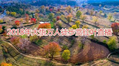 万人徒步赏红叶