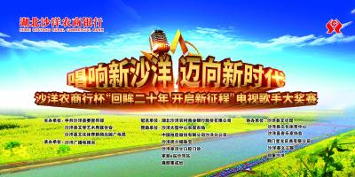 唱响新沙洋 迈向新时代 沙洋农商行杯电视歌手大奖赛决赛
